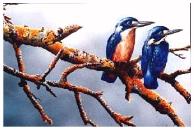 Click to go to larger image of painting, use BACK button to return